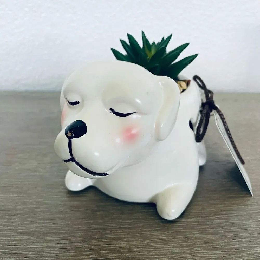 N/A nwt adorable